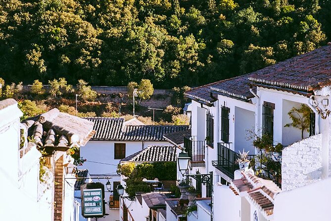 Albayzin and Sacromonte Guided Walking Tour in Granada - Guides you may encounter: what their style can change