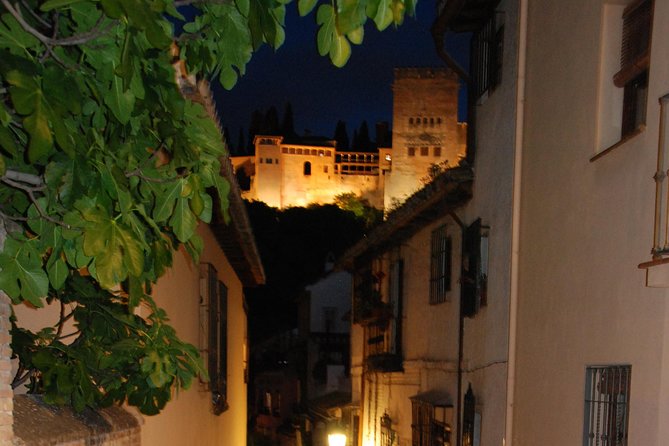 Alhambra: Night Visit to Nasrid Palaces - Carlos V and the Evening Atmosphere You Came For