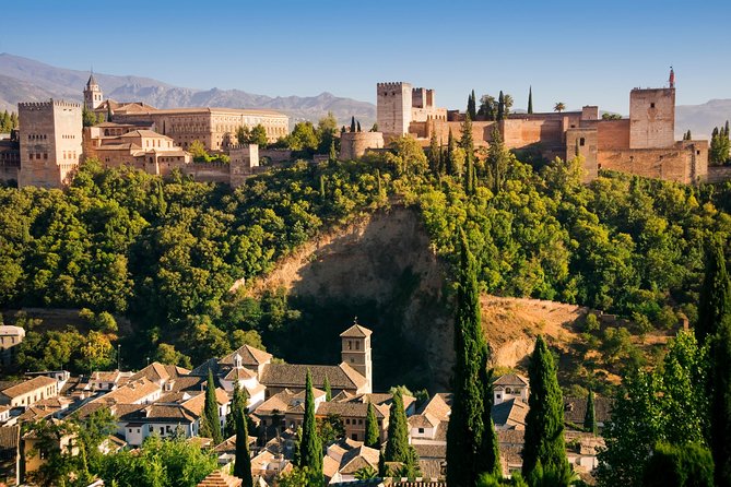 Alhambra Private/Small Group Tour & Nasrid Palaces Skip the Line - Fast-track Alhambra entry: time saved where it counts