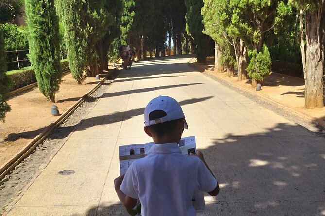 Alhambra with Nazaries Palaces Private Tour - Nasrid Palaces: where power and policy lived