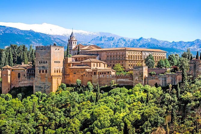 For Cruise Passengers ONLY: Granada and Alhambra from Malaga Port - Walking reality check: bring shoes and water