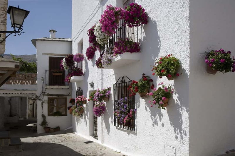 From Granada: Alpujarra Mountain Villages Tour - Getting from Granada: Pickup, Comfort, and the Curvy-Road Reality