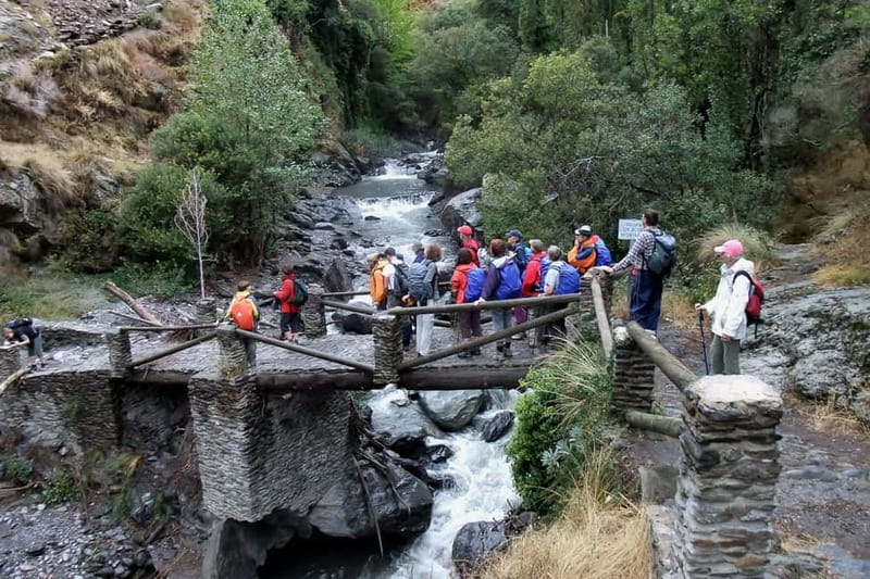 From Granada: Alpujarra Mountain Villages Tour - Capileira and Barranco del Poqueira Views: Lunch with Mountain Air