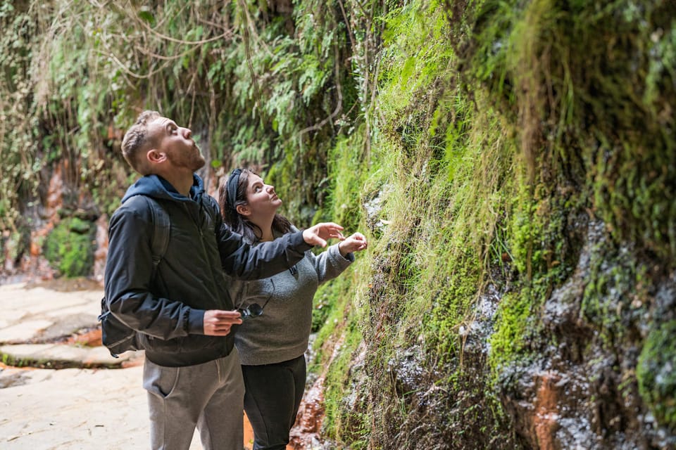 From Granada: Alpujarra Villages Guided Day Tour - From Plaza de las Descalzas to the mountains: the small-group van rhythm