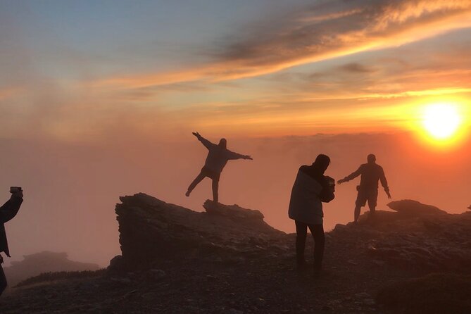 From Granada: Sierra Nevada Safari tour up to 2500 meters high - Why this Sierra Nevada day feels different from a city tour