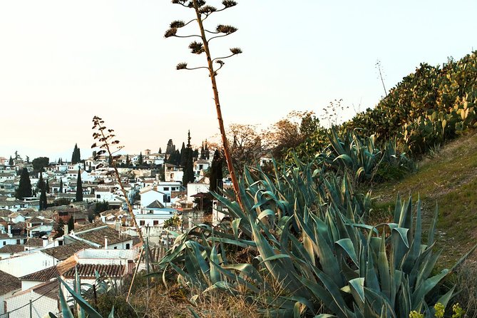 Granada: Albaicin and Sacromonte Private Tour - Plaza Nueva: the fountain square that links it all