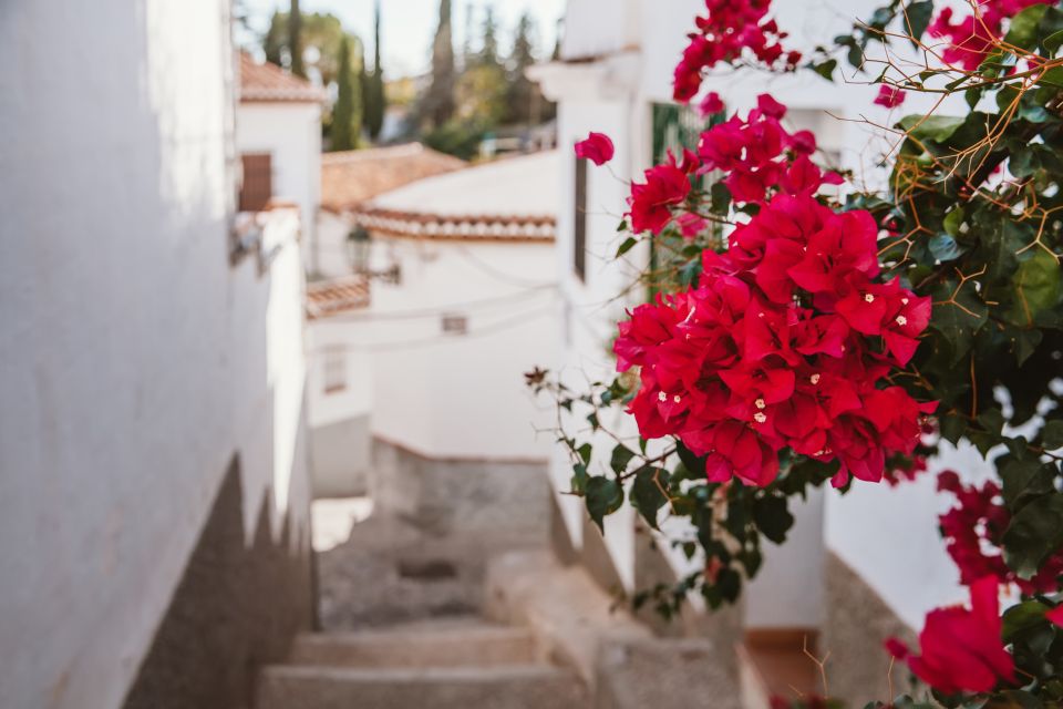 Granada: Albaicín and Sacromonte Walking Tour - Gates, Steps, and Small Courtyards: Puerta de las Pesas and Plaza Larga