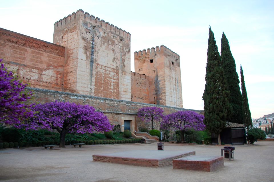 Granada: Alhambra and Charles V Palace Tour - Key highlights worth your attention