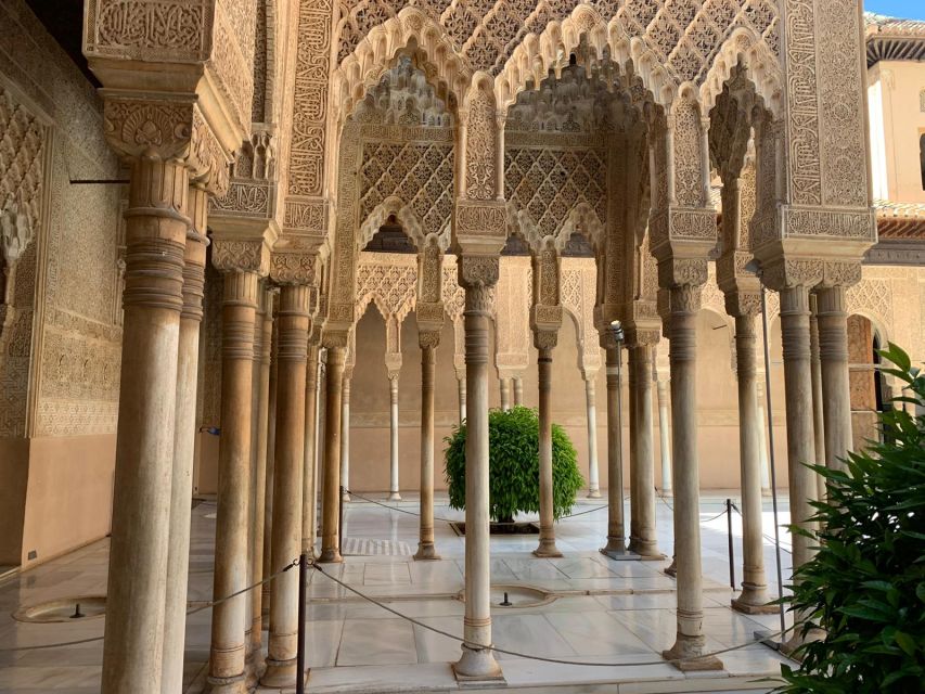 Granada: Alhambra Complex Guided Tour with Ticket - Entering the Alhambra via Access Pavilion (and why timing matters)