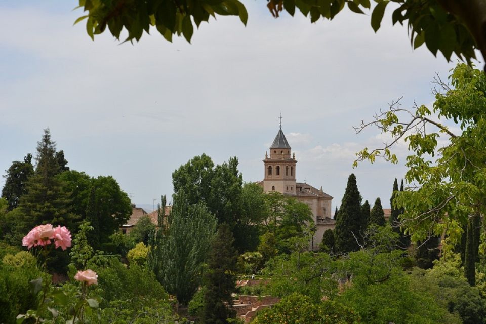Granada: Alhambra Gardens, Generalife & Alcazaba Guided Tour - Nasrid Palaces Area: What You Get When Palaces Entry Is Not Included