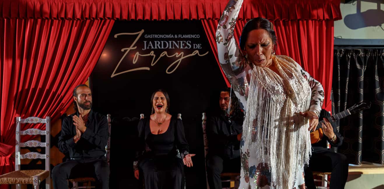 Granada: Flamenco Show in Albaycin - Jardines de Zoraya - The 1-Hour Show: What Happens From Start to Finish