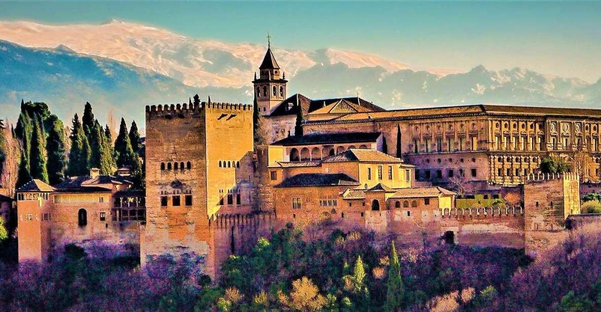 Granada: Full Alhambra Premium Guided Tour with Tickets - Viewpoint and Traditional Village: Setting the Scene Before the Palaces