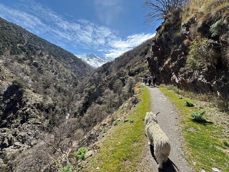 Granada: High Sierra Nevada Hiking Tour to 3000 Meters - Key highlights you’ll feel on the day