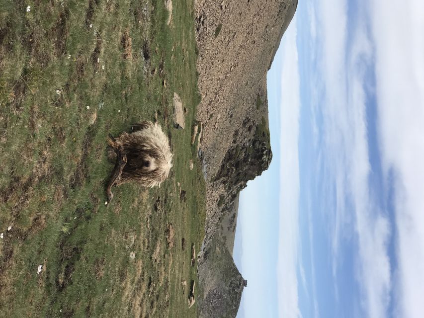 Granada: High Sierra Nevada Hiking Tour to 3000 Meters - How hard is it, really? Distance, elevation gain, and pacing
