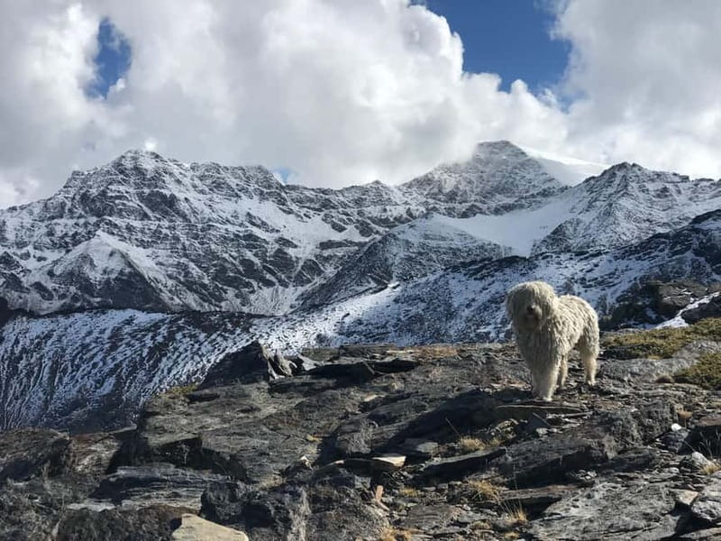 Granada: High Sierra Nevada Hiking Tour to 3000 Meters - Wildlife, silence, and why this hike feels special beyond the summit