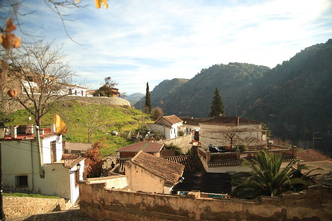Granada Highlights Tour with Tapas Breaks by Electric Bike - Bike-handling confidence: steep starts, powered help, and fixes