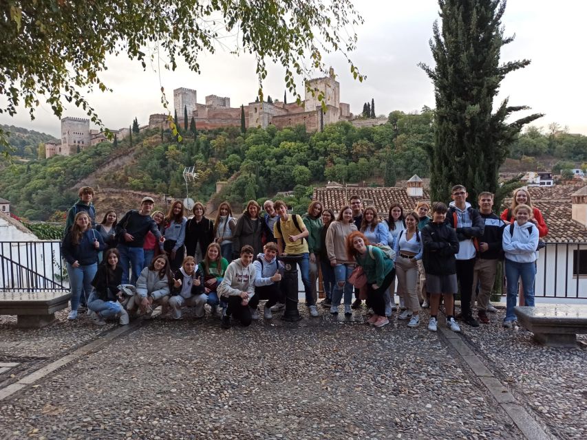 Granada: Historic Center and Lower Albaicin Walking Tour - Key highlights to expect