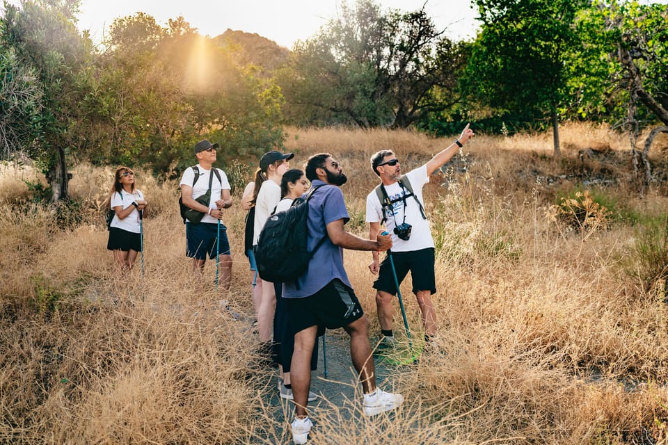 Granada: Los Cahorros de Monachil Canyon Hiking Tour - Should You Book Los Cahorros de Monachil Canyon Hiking?
