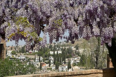 Granada : Private Alhambra Tour + Nazaries Palaces (VIP) - Alcazaba: fortress views in a focused 30 minutes