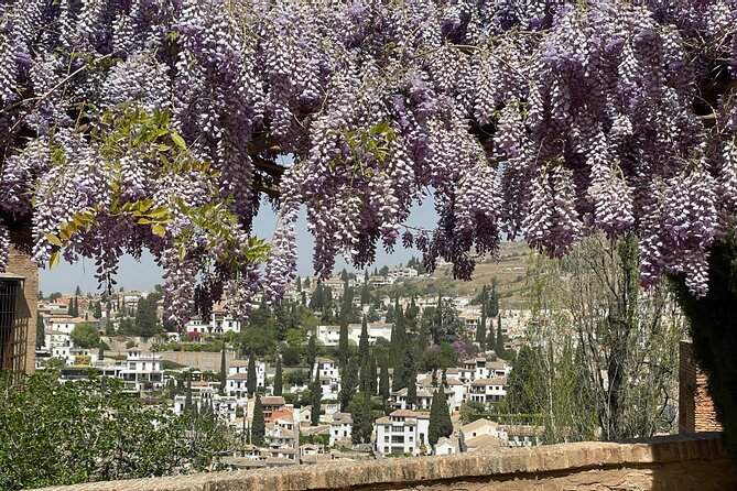 Granada : Private Alhambra Tour + Nazaries Palaces (VIP) - Alcazaba: fortress views in a focused 30 minutes