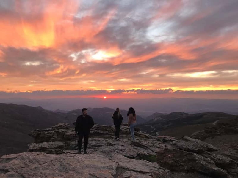 Granada: Sierra Nevada Safari Tour to 2500 m with a Drink - Guides, driving, and the small-group advantage