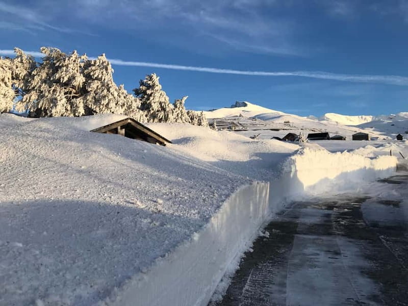 Granada: Sierra Nevada Safari Tour to 2500 m with a Drink - The 2500-meter panoramic hut: drink stop, views, and your 90-minute break