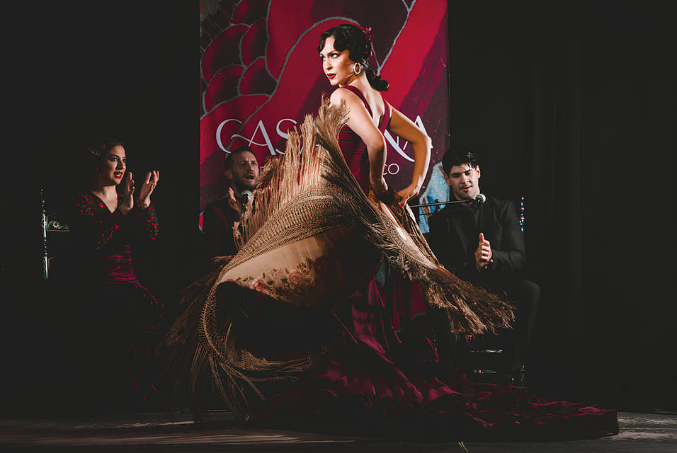 Granada: Traditional Flamenco Show at Tablao Casa Ana - The flamenco lineup: guitar, singing, and dancers in close quarters