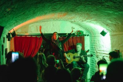 Granada: Traditional Flamenco Show in a Cave Entry Ticket - The Hour-Long Plan: What Happens Once the Doors Open