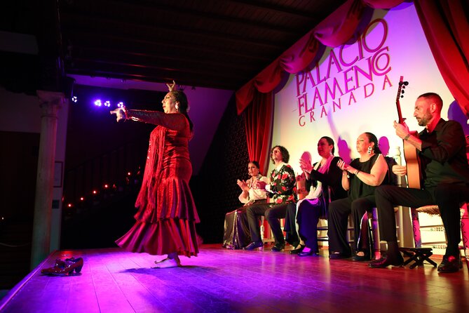 Grenada: Flamenco Palace, the best show in the center - Key highlights at Palacio Flamenco Granada