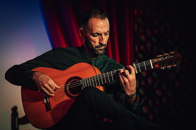Grenada: Flamenco Palace, the best show in the center - Seeing every beat: elevated stage and no microphones