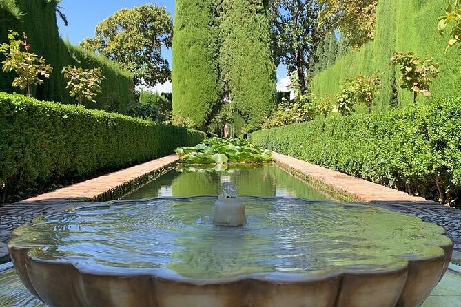 Guided visit to the Alhambra, Nasrid Palaces and Generalife - Price and Value: What $66.42 Gets You