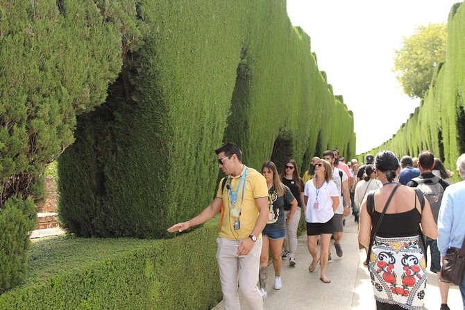 Guided visit to the Alhambra, Nasrid Palaces and Generalife - Alcazaba: Defensive Power Meets the Best Views in Granada