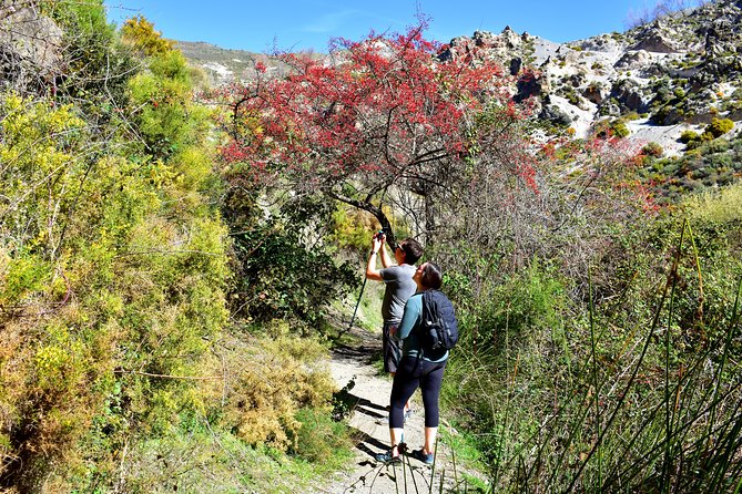 Hiking in the Canyon of the Monachil Cubs in Granada - Los Cahorros canyon time: the vibe you’re signing up for