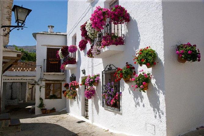 Las Alpujarras Full-Day Tour with Optional Lunch from Granada - Key Things I’d Bet On
