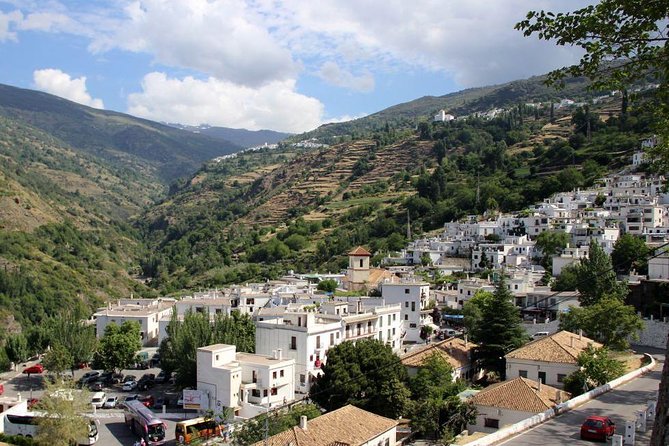 Las Alpujarras Full-Day Tour with Optional Lunch from Granada - Stop 4: Fuente Agria (A Mineral-Rich Waterfall Break)