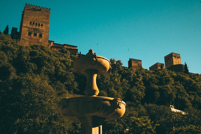 Private Tour to The Alhambra with Nasrid Palaces in Granada - What to bring and how to behave so your visit stays great