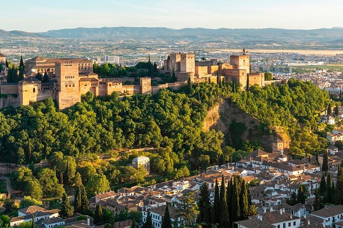 Private Tours Alhambra : Tickets & Tour Guide & Skip-the-Line - Stop 2: Nasrid Palaces for About 1 Hour (Where Access Matters Most)