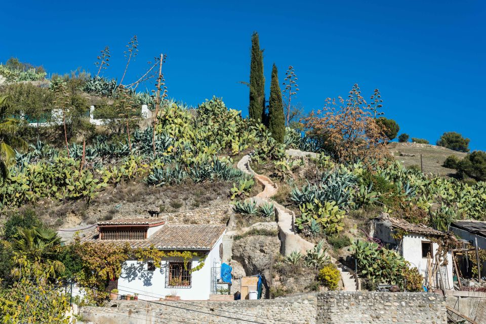 Sacromonte Caves Museum Admission Ticket - Key things I’d zero in on