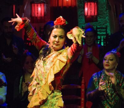 Sacromonte: Flamenco Show at Cuevas Los Tarantos Tickets - What you’re actually buying: a 1-hour live flamenco performance