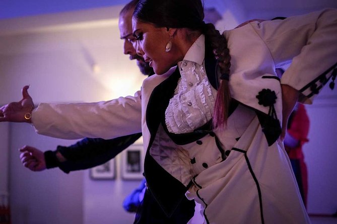 Traditional Flamenco Show - Casa del Arte Flamenco: a true flamenco-focused night in Granada