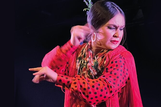 Traditional Flamenco Show at Tablao Casa Ana - Who Should Book Tablao Flamenco Casa Ana?